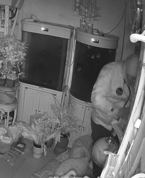 男子深夜进店偷盗，毫不在意监控，店主：损失约四五千元，店内宠物猫不知所踪:车载保险箱十大