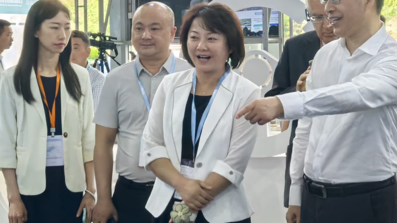 挖掘机底盘配件型号解析：日立挖掘机专用配件指南**